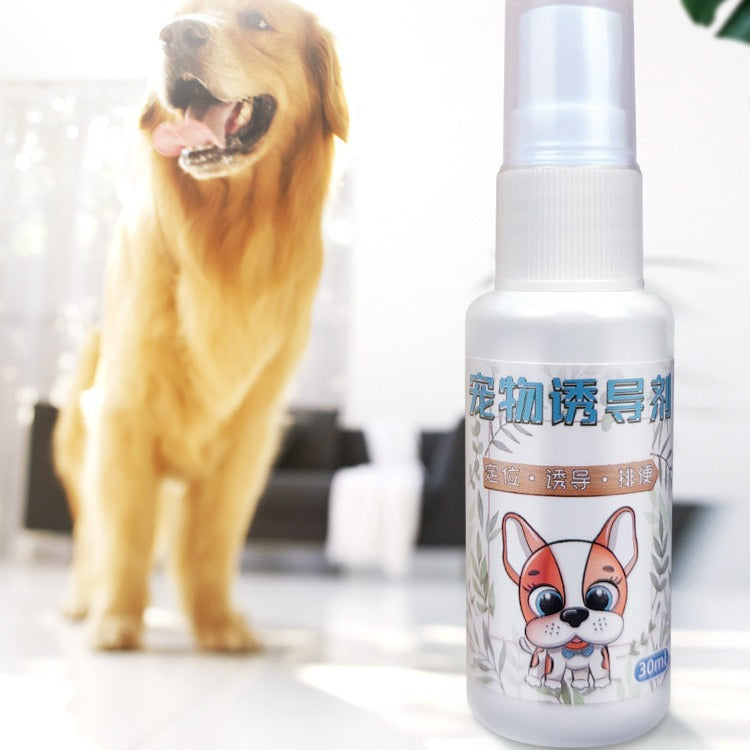 Why a Potty Training Attractant Spray Works