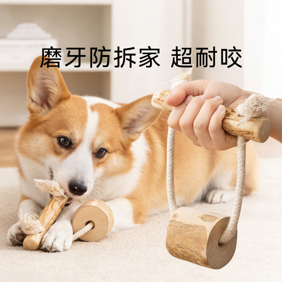 Why a Coffee-Wood Knot Toy Outlasts Teething Season
