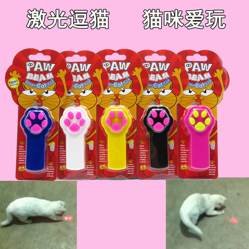 Why an Infrared Laser Teaser Burns Off Midnight Zoomies
