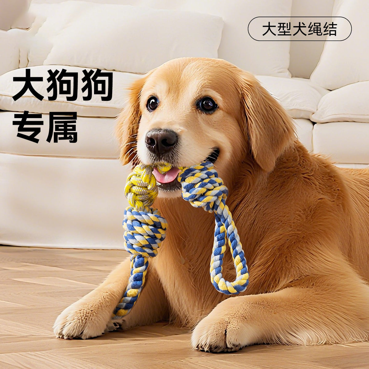 Why a Rope Knot Toy Keeps Big Dogs Playing and Teeth Clean