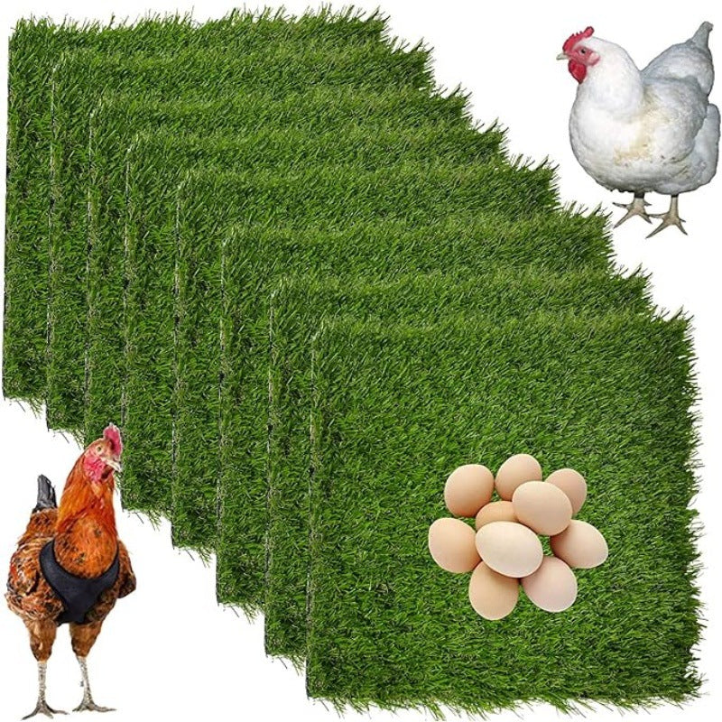Why Artificial Turf Keeps a Chicken Coop From Turning to Mud