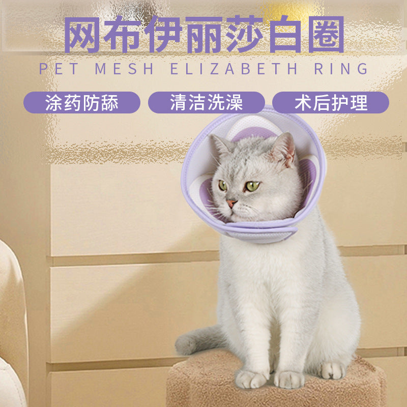 Why the Mesh Elizabeth Collar Beats the Plastic Cone Every Time