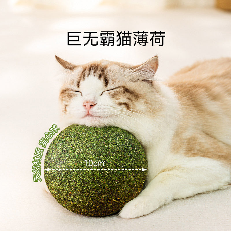 Why a Large Catnip and Matatabi Ball Outlasts a Feather Wand