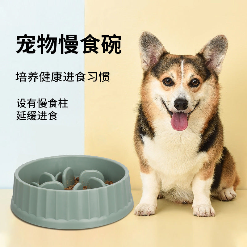 Why a Slow Feeding Bowl Stops the Gulp and Bloat