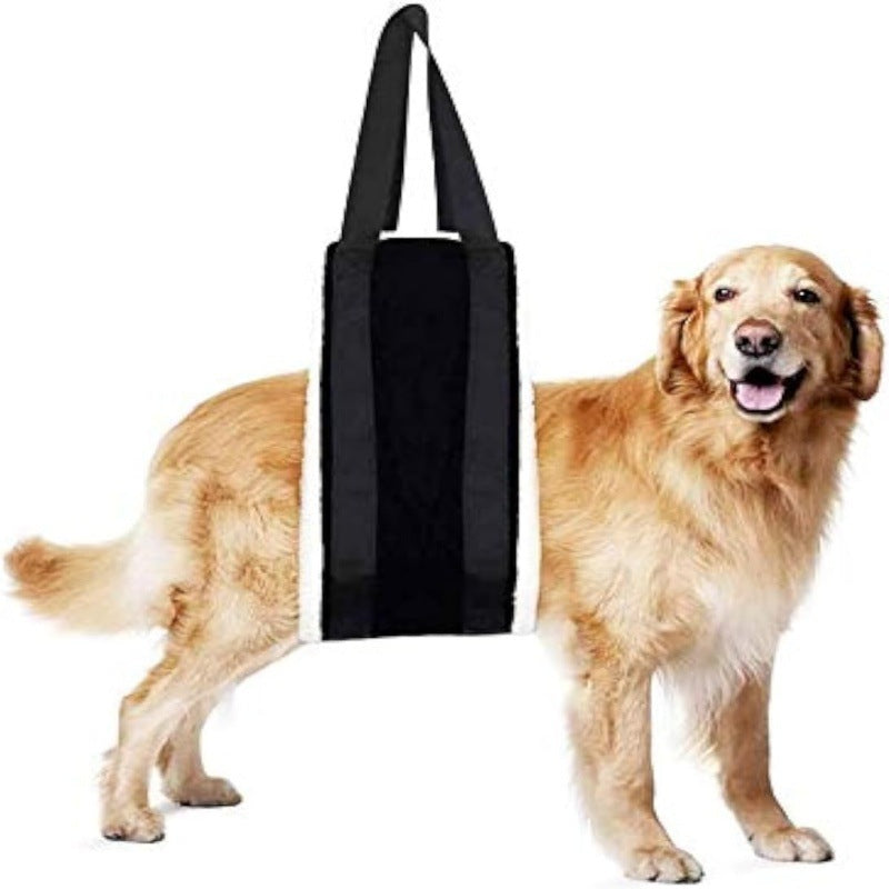 Why a Dog Lifting Strap Is the Kindest Mobility Aid
