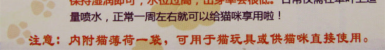 8e30ecbd-eadb-4801-a0ce-a0a2cd558f27