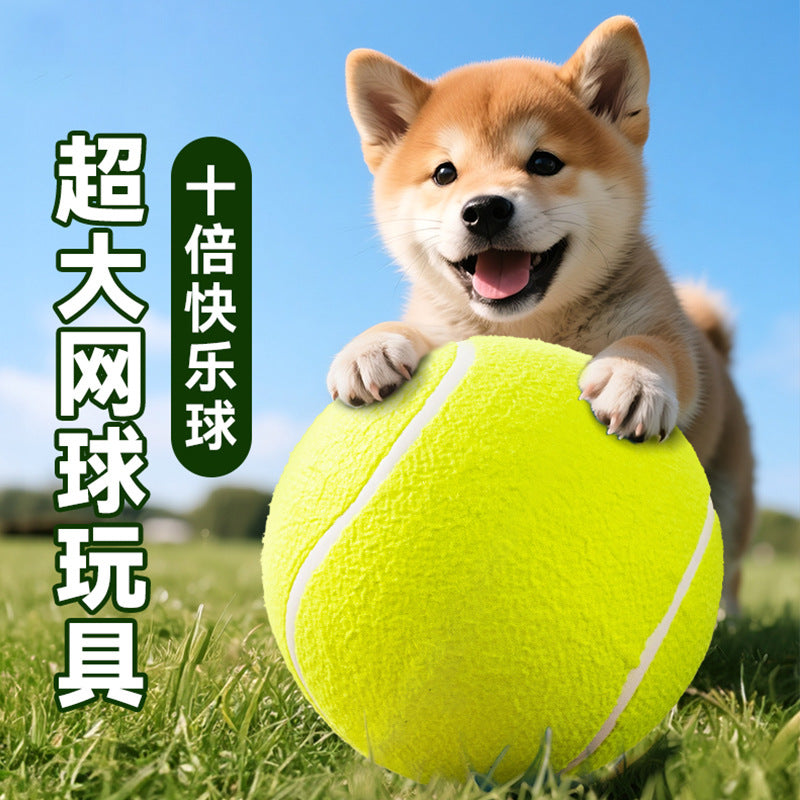 bc086d9b-e762-4354-96d2-8560154b7c7c