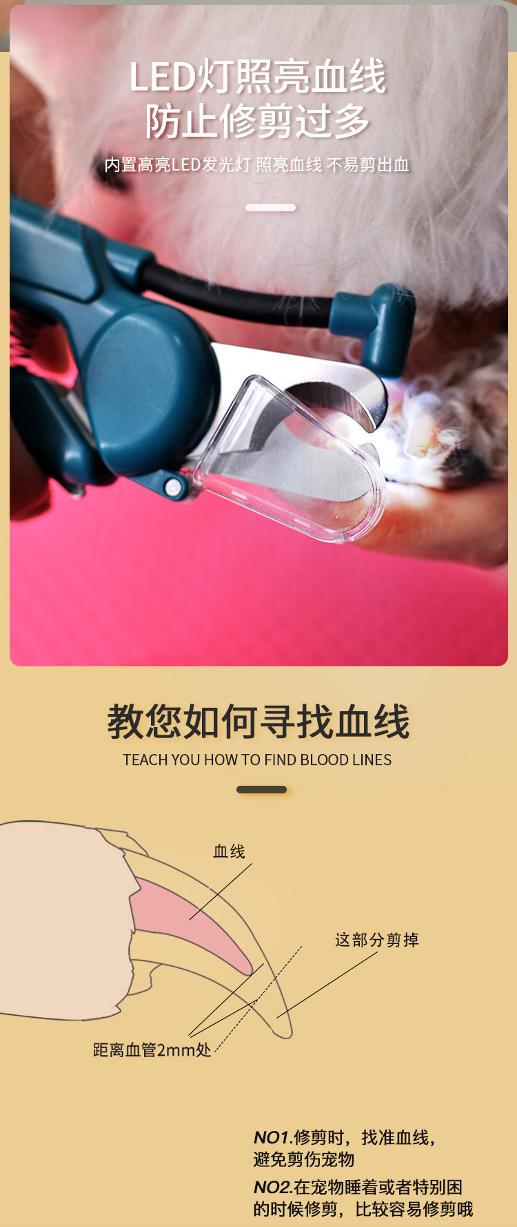 31c5731c-631a-4753-b55a-eb7644a85ec2