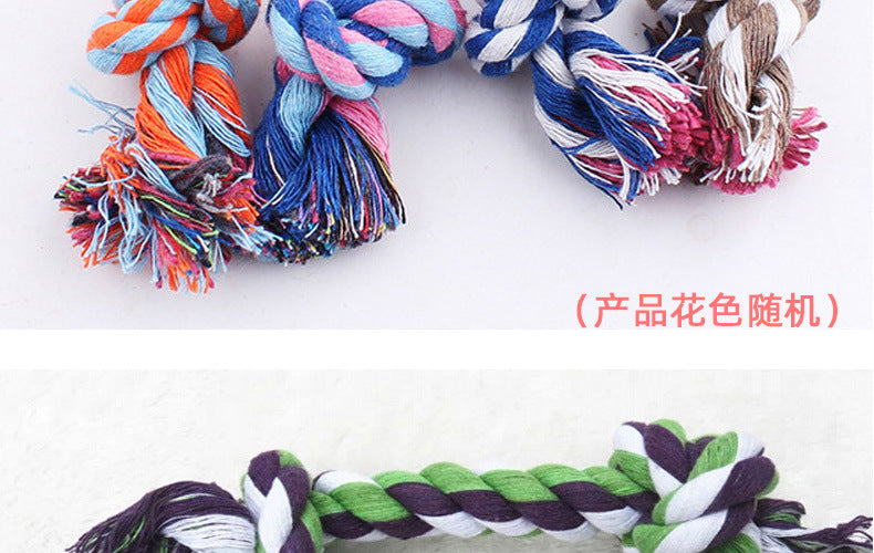 e20eeb2d-849d-4dc0-bd9c-544827a416d2