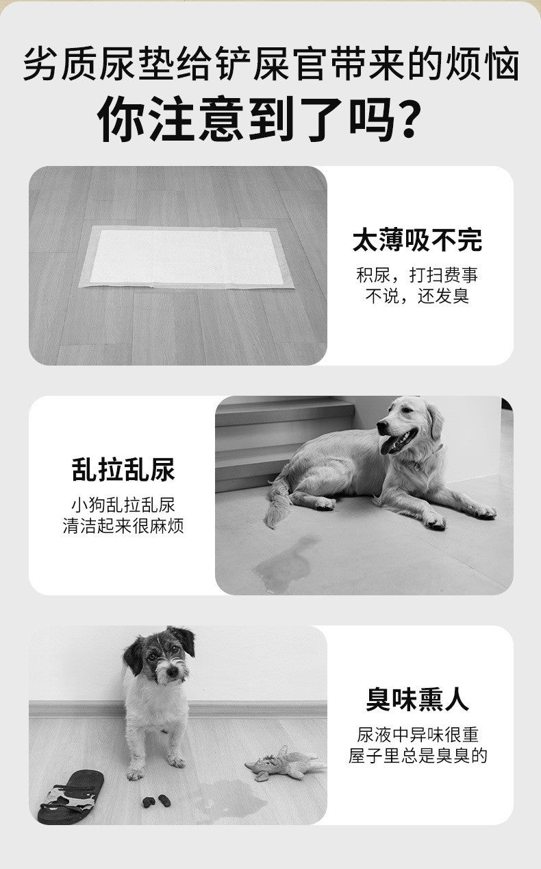 b3b7005d-402c-42d6-b4d1-5bdeb821d97d
