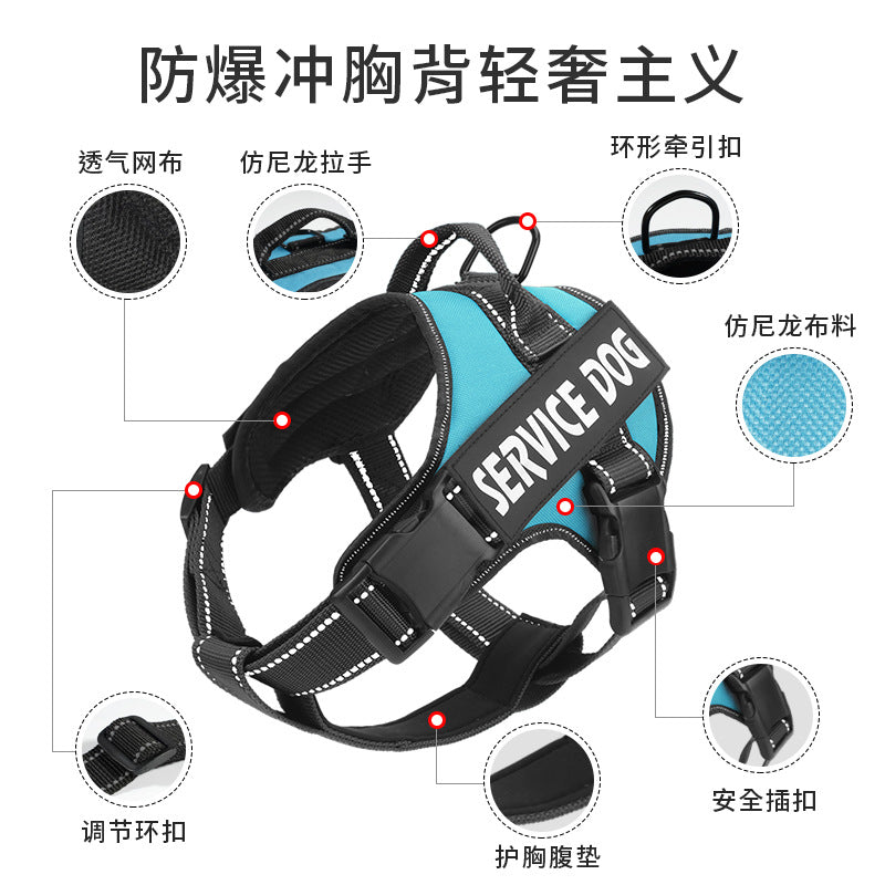 1a9798d8-90d4-43a1-a5ab-0654f52c77ee