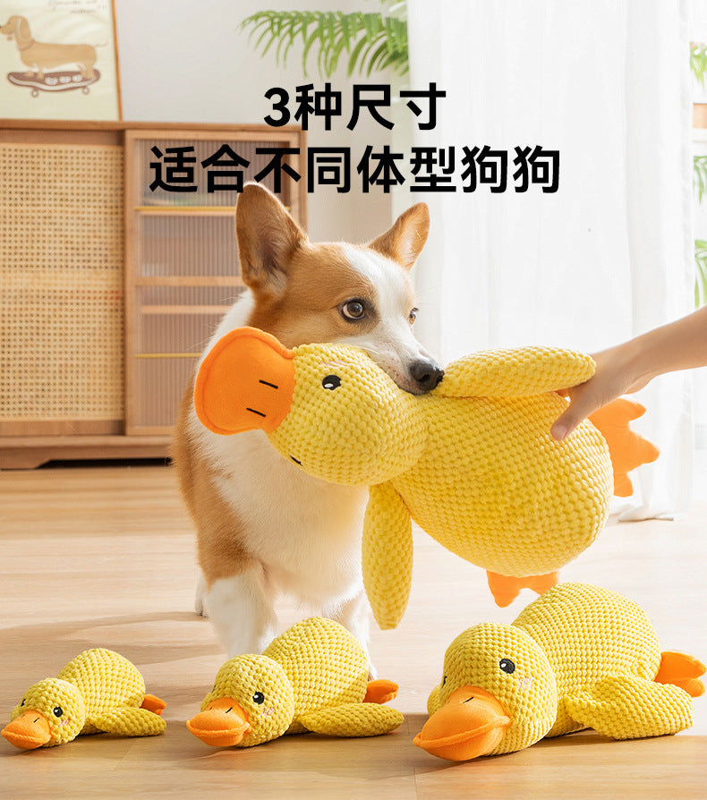 f8fe59d5-3934-4aa1-a353-9e7c692e97c1