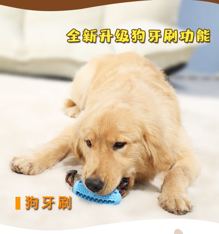 3154f788-ced0-4376-a416-8fd6370e40fb