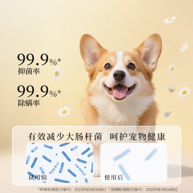 219d176e-b5a3-409b-b68f-a0b635631049