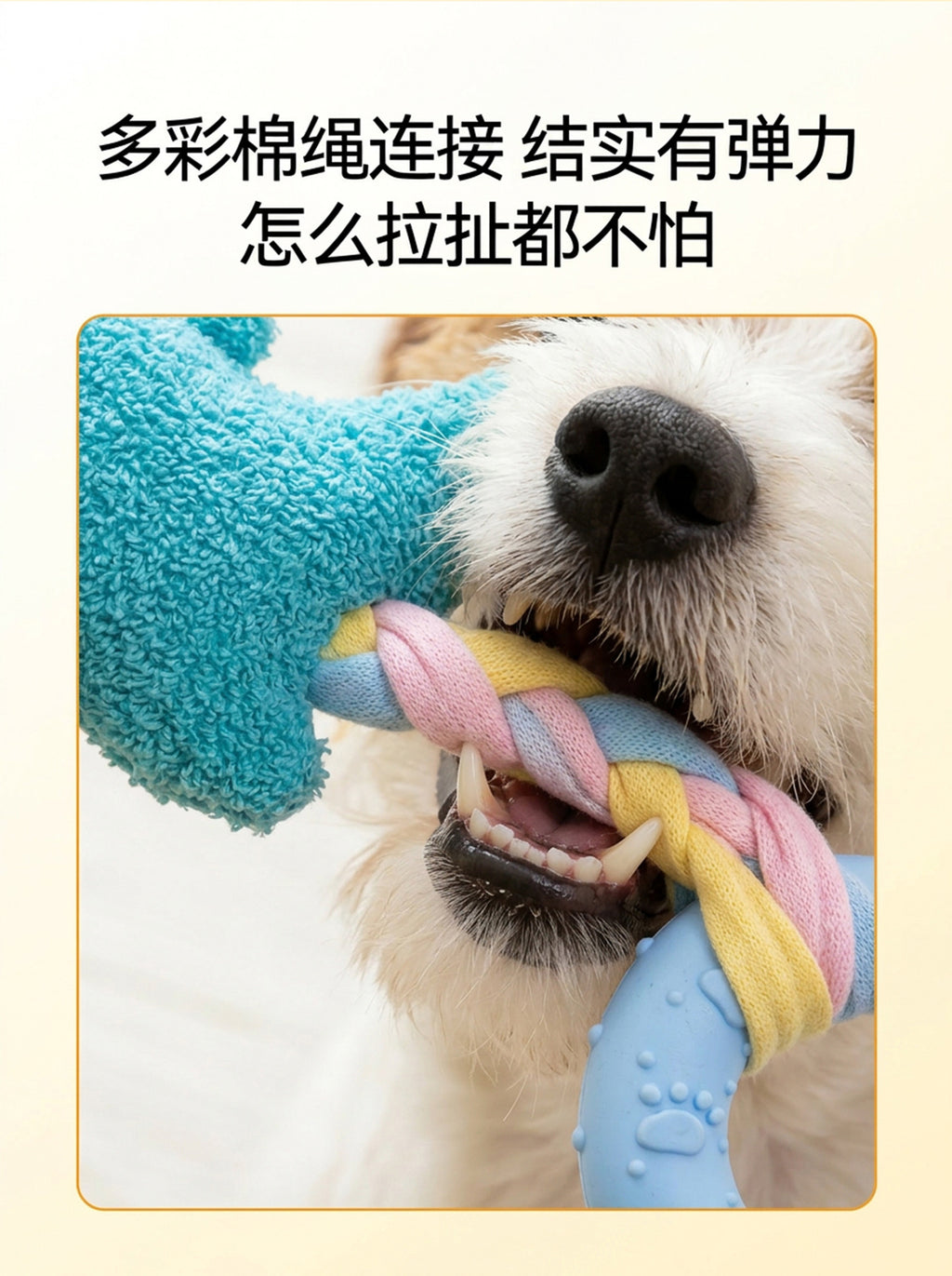 2dd2cf9b-777c-4815-a7a4-5660714778ae