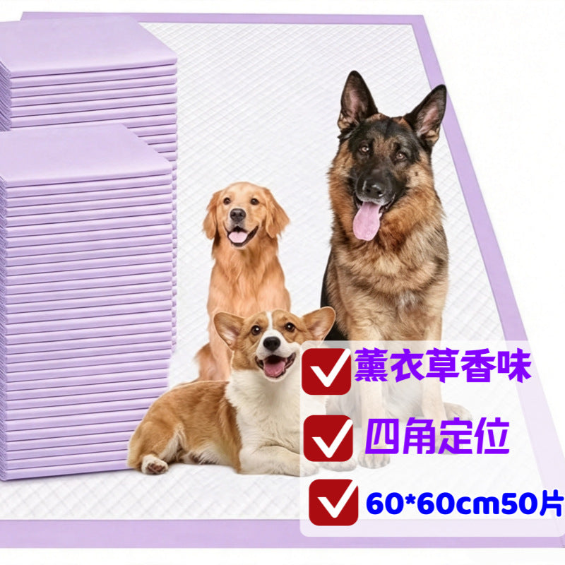 5573bb3c-bae2-4d61-b41a-98953e579598