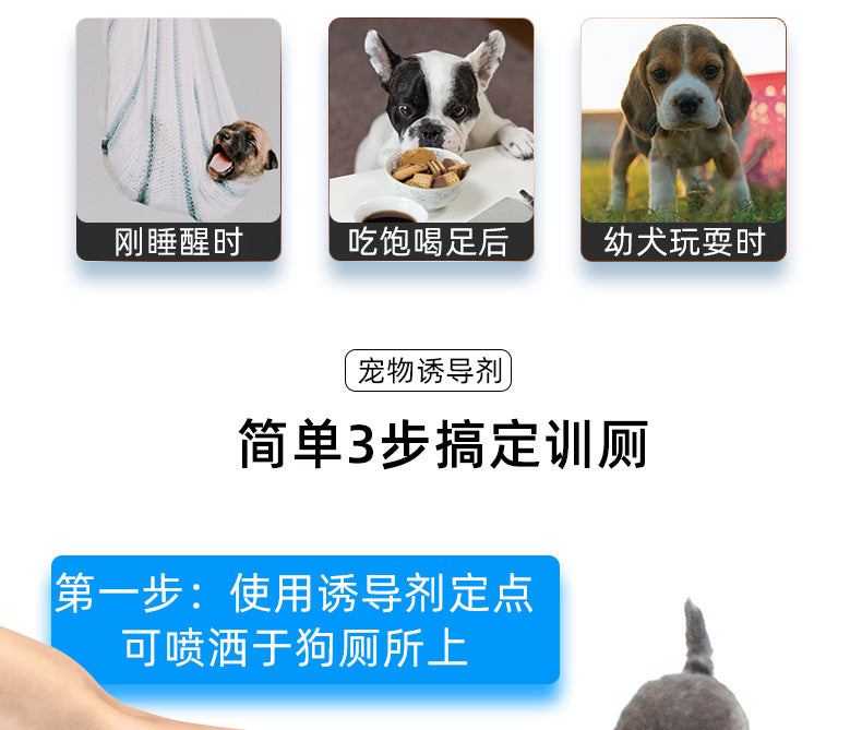 77d319dd-87c2-48bd-a752-9721be5846fd