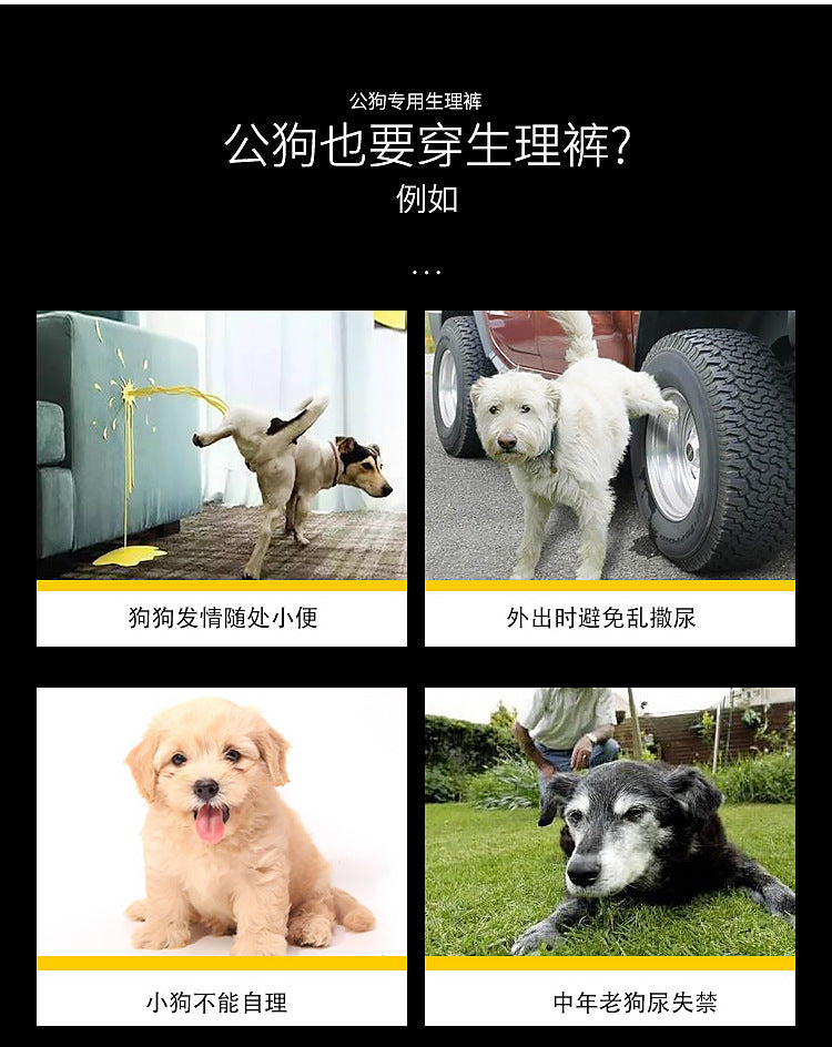 065f1e82-f9af-4602-8da8-dd06300fe8d4