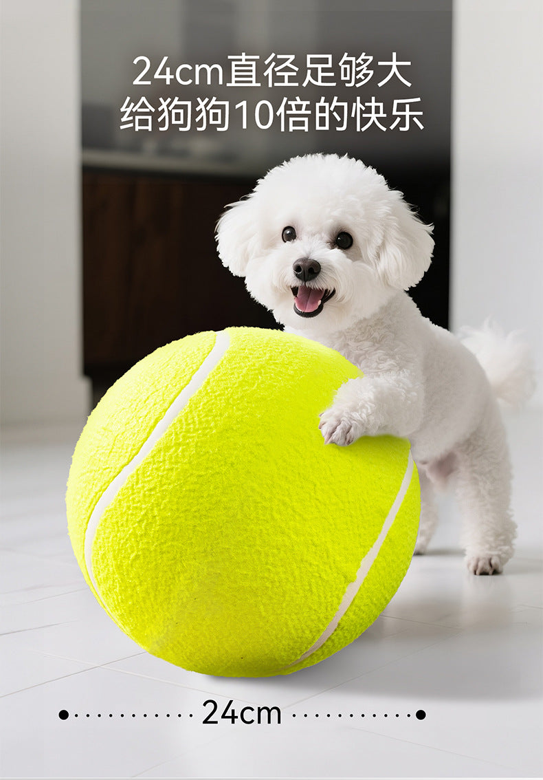 5c1448c6-8c9c-4afc-9461-2f94a10a5633