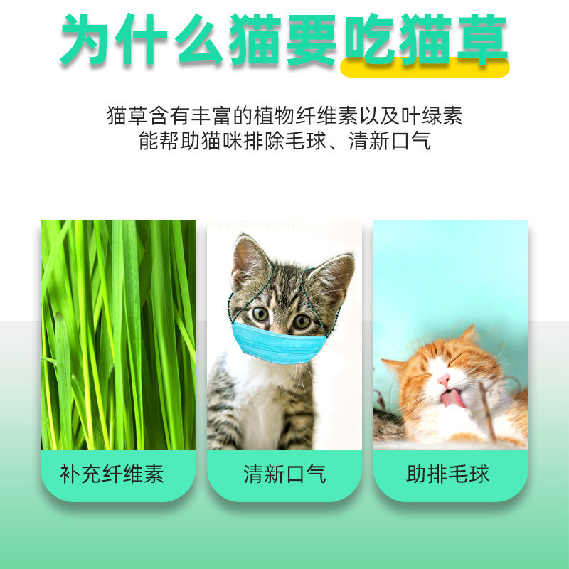 adfc2f7f-23c0-4d43-a339-21e03d60eda4