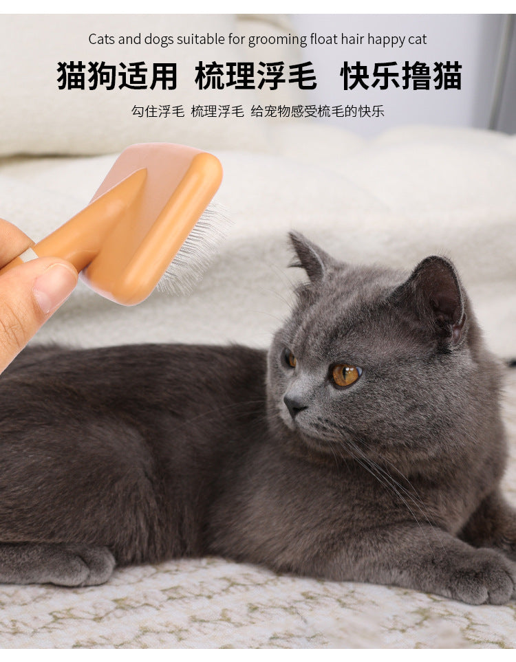 9e40c5cd-6349-434e-92b1-d3160e2d29a9