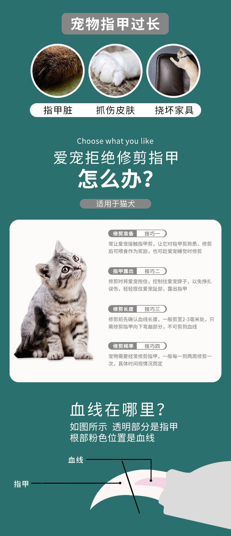 5453d973-d416-4319-b21b-dcdb20a46413