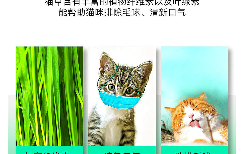 c210632f-f81e-4909-9654-5df76b89dc9a