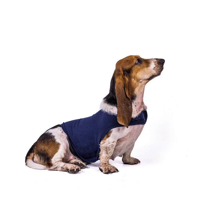 5690d1ad-9208-4b8e-b5ff-f3bab370df44