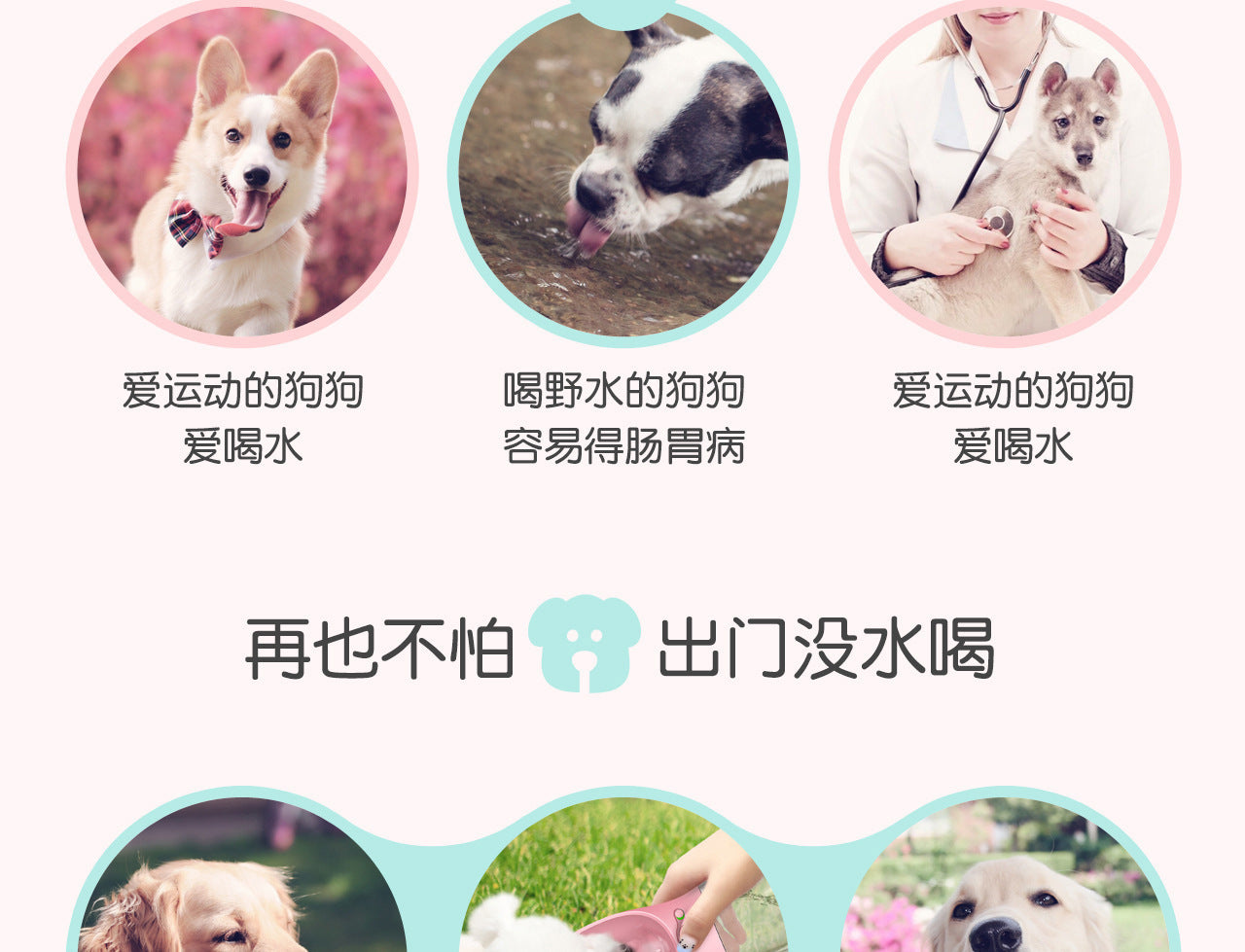 8926eabd-fb00-4bcb-a065-c2a21df54a64