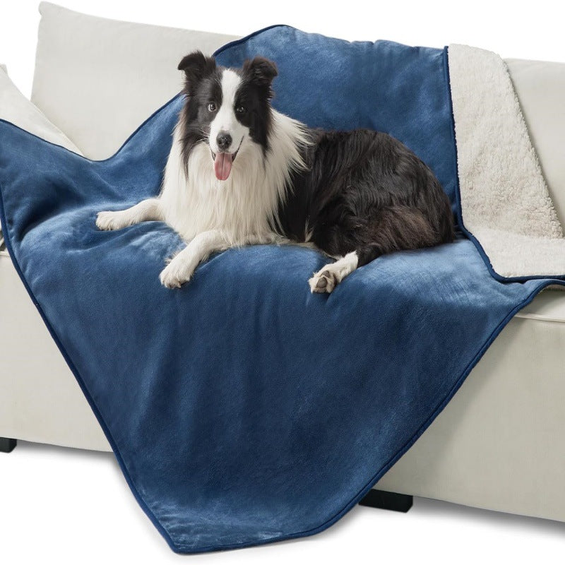 516928d2-6573-46dd-9f07-2b0d5d6d3485