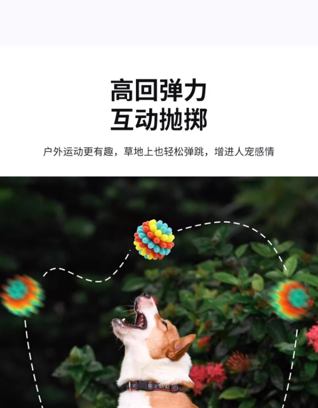 b5d4f186-6592-4402-a8c2-ae1ac760c31a
