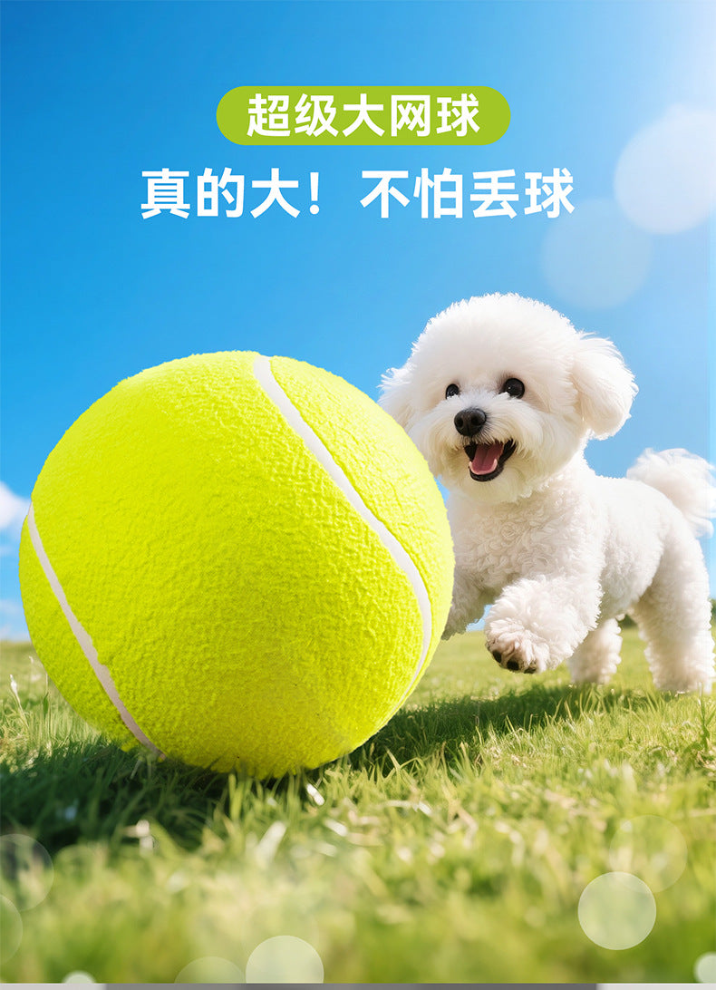 fb50153d-8d49-442d-8c2d-134724a52296