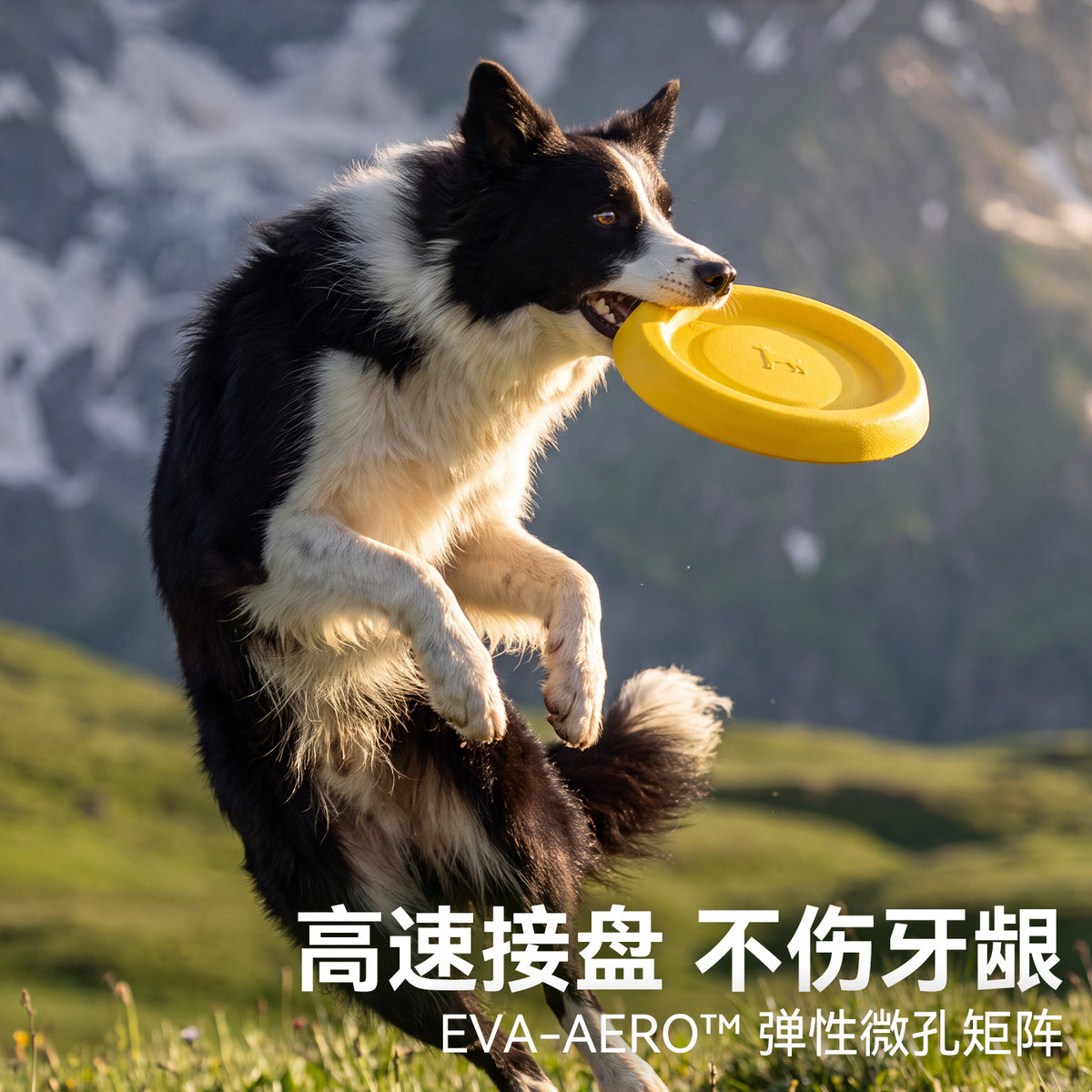 5942df43-3136-49cf-b770-fa3bb9aff125