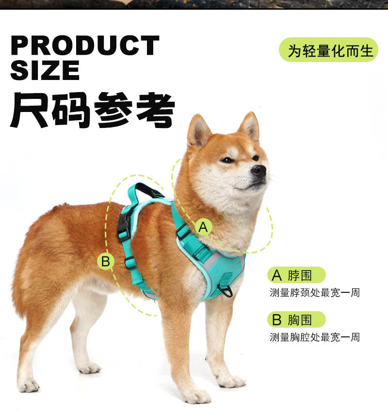 51b04910-cb30-40b1-9770-f851ab7ec3f1