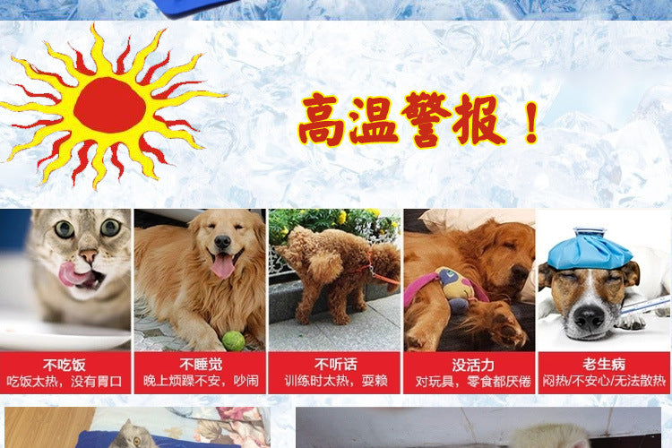d4b2a939-0d2c-4999-93b1-23d3ac6046b5