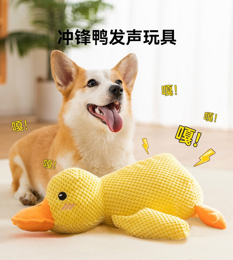 9f8e53be-1726-44c0-92f1-84c2a4326b89