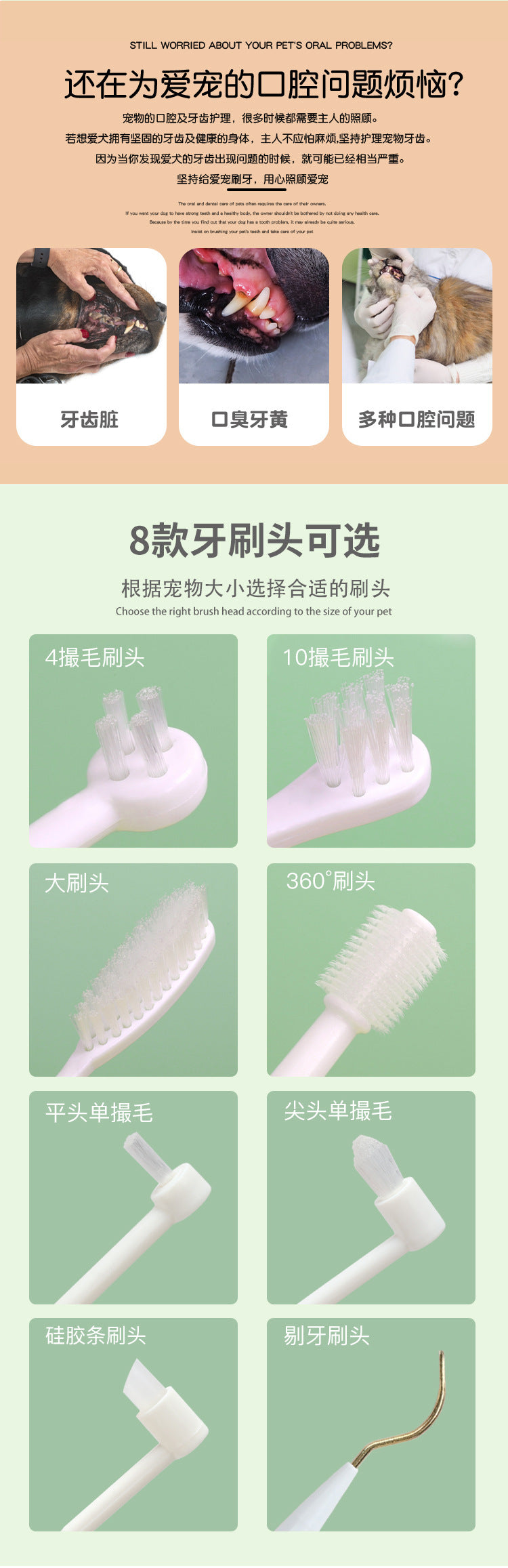 1a5e7317-7cac-4e12-942b-e13d90aa35c7
