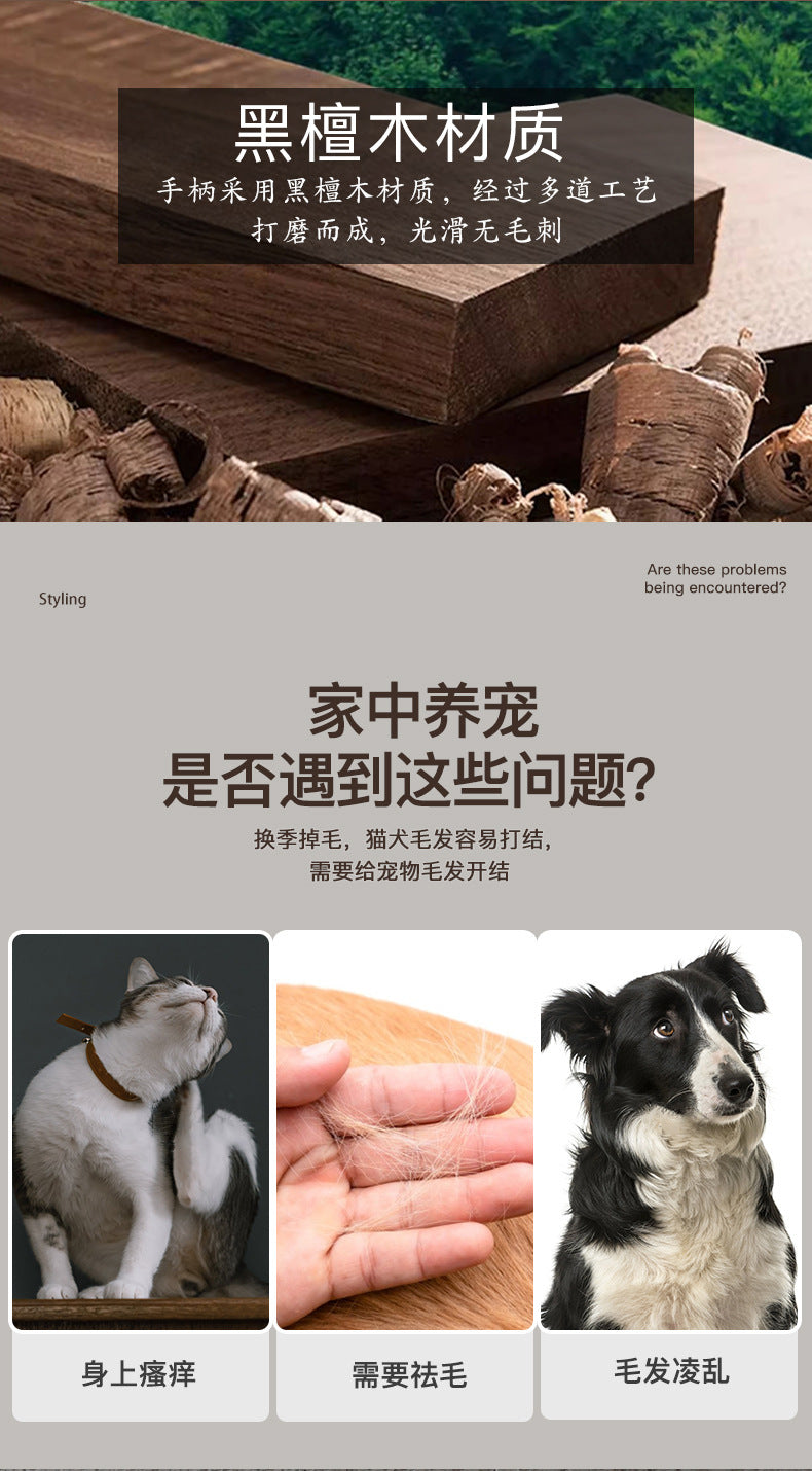 ab155a9a-0e7b-41c6-9702-f6e81decd666