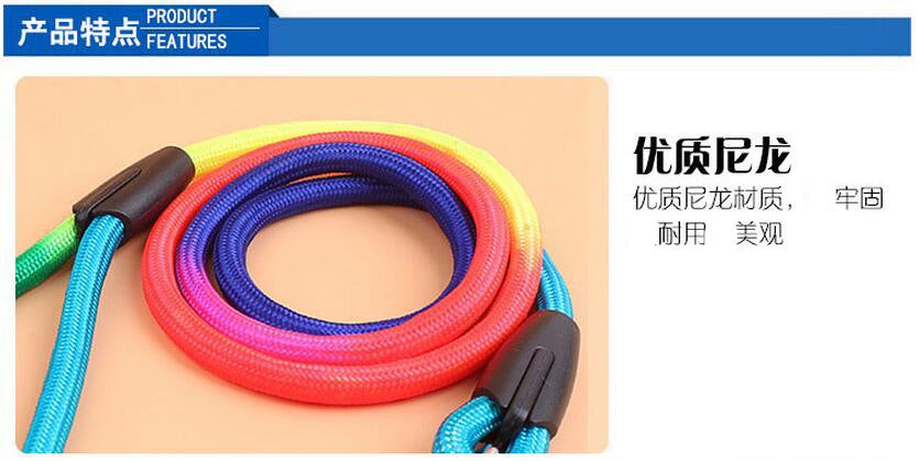 d262a1ee-51da-49b1-8759-32ebe9551fb6