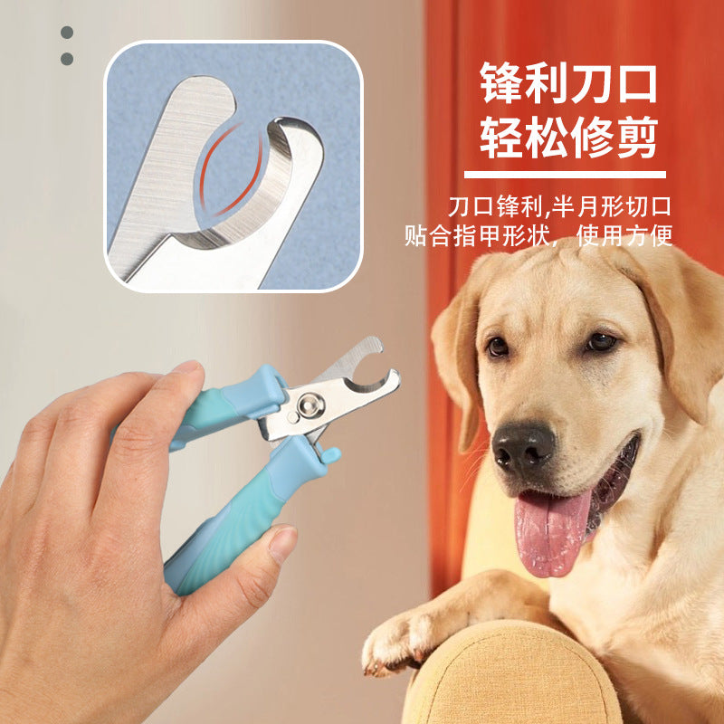 b8574ff9-a02b-4e59-89d0-f2f16ed2e76b