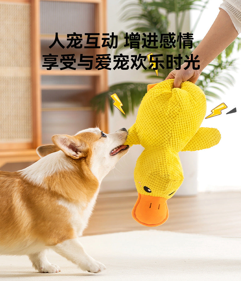 23588d62-aa90-4c3c-a60e-bdd052bd7bab