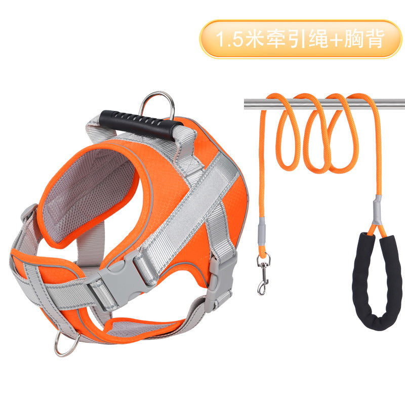 f9033205-dd6e-4336-a29d-d2c9b67cc5c1