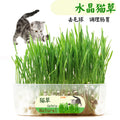 275a3d51-5a0a-495f-a3e9-15db446f670f