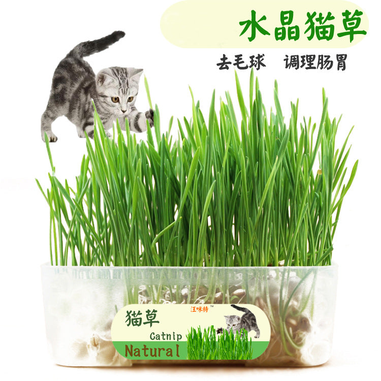 275a3d51-5a0a-495f-a3e9-15db446f670f