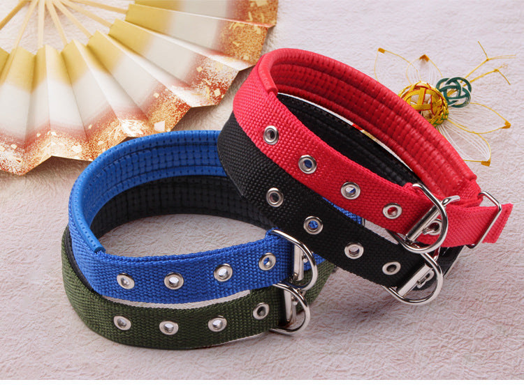 b91080ac-8a6b-4ef6-8229-2a80f70fd44f