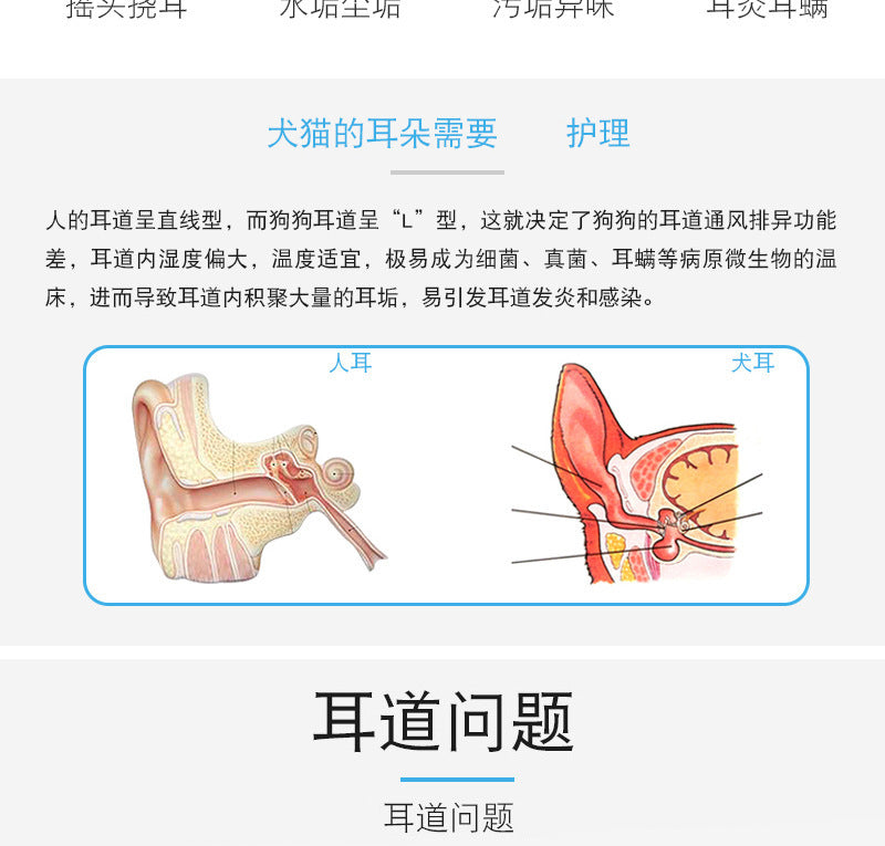 1a477bf2-22af-448f-8dd7-d1fc00b14462