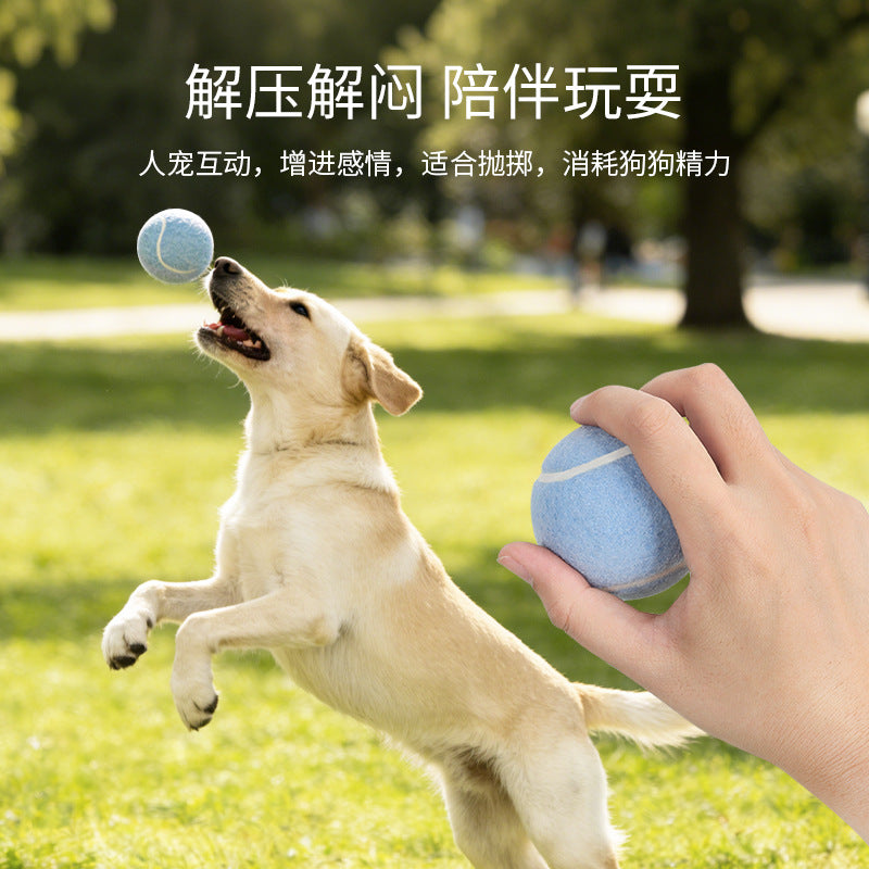 ed724ff3-a682-4a6d-be82-f41644f0fe13