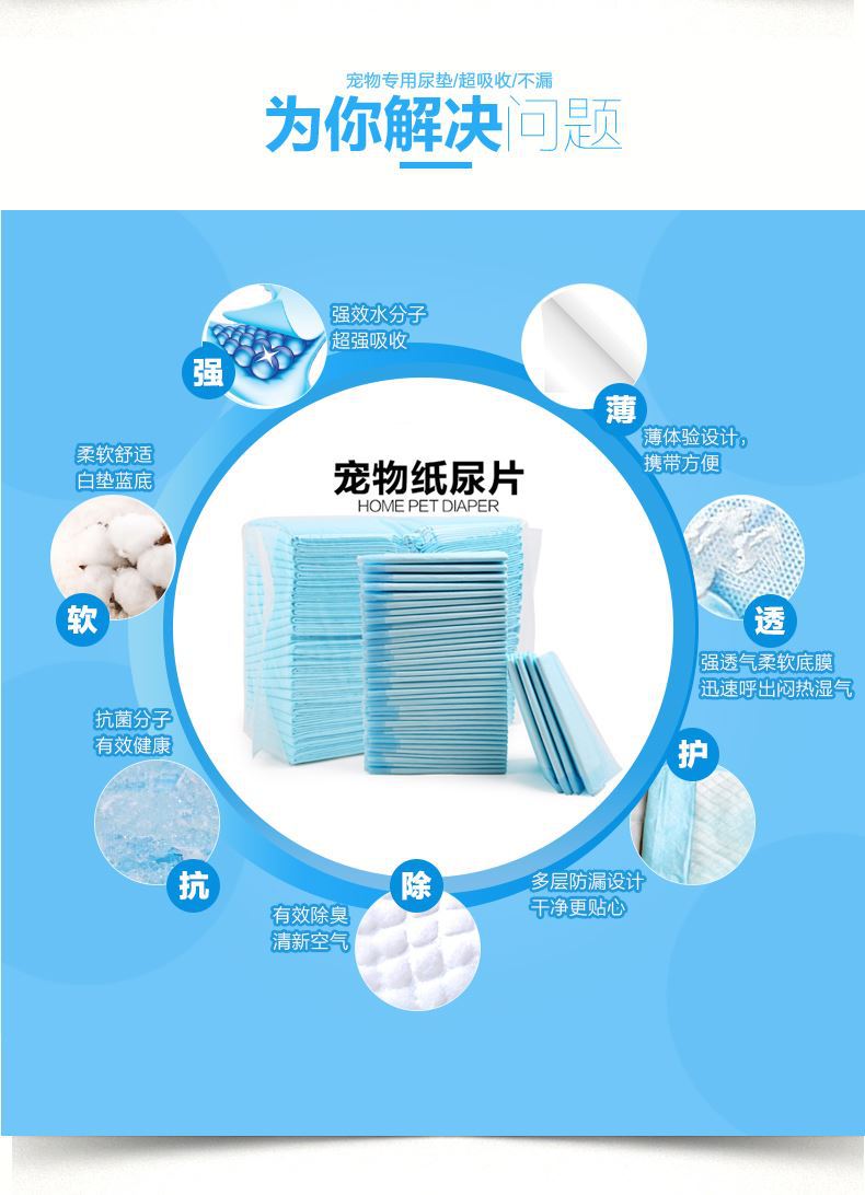 31d3050a-4e46-427f-b1aa-2a6101f15c8e