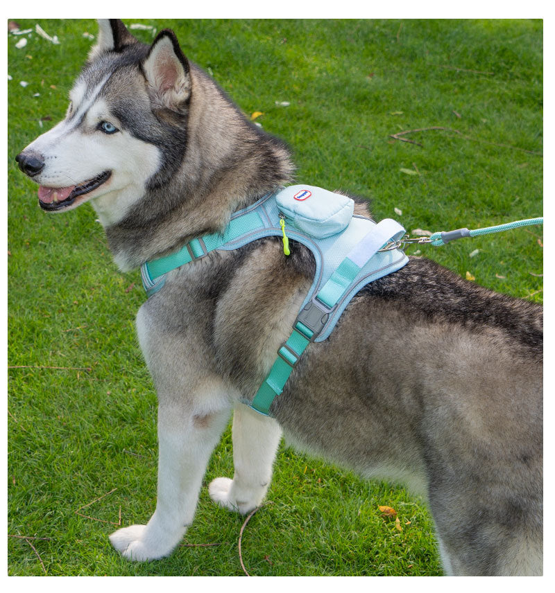 a00876bd-3309-4189-8deb-aaf45003fb0f