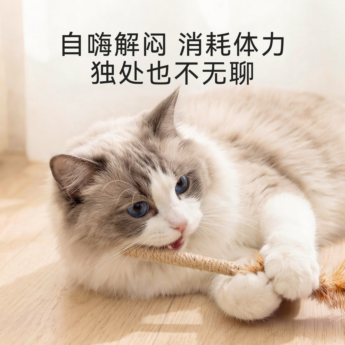 8672bf3b-3ba1-4b85-a84d-f94da54748f1